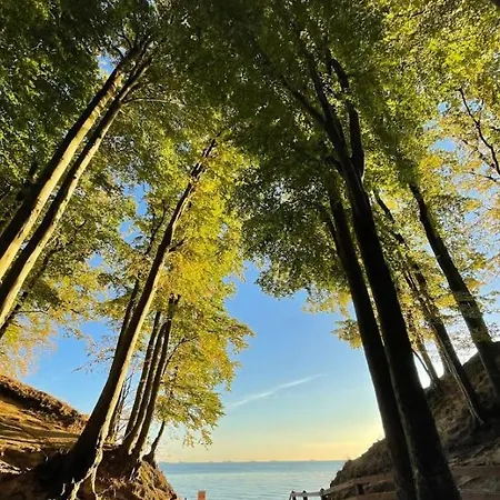 Apartament Mieszkanie Powstania Wielkopolskiego 115 *