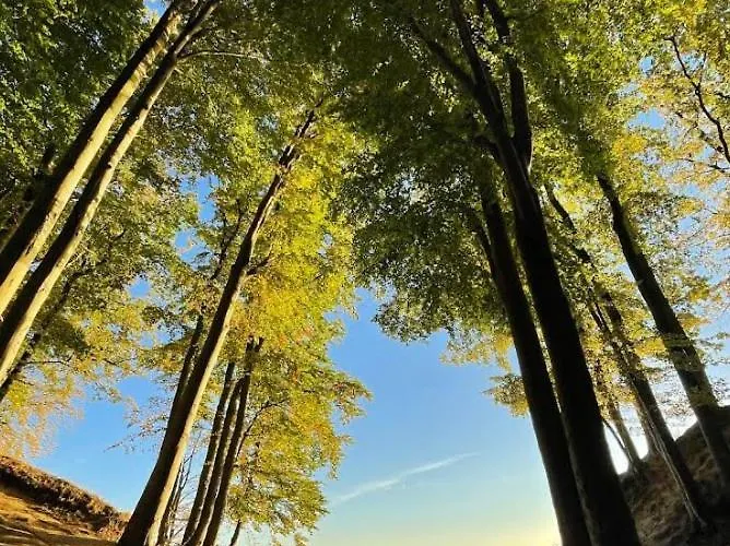 Lägenhet Mieszkanie Powstania Wielkopolskiego 115 *